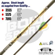 Gold Tip Pro Hunter Arrows