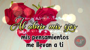 En La Distancia Te Digo Buenos Dias Amor Este Mensaje Es Para Ti En 2020 Buenos Dias Amor Mensajes Buenos Dias Amor Mensajes De Buenos Dias