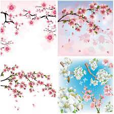 Vector Cherry Blossoms Cherry Blossom Vector Cherry Blossom Background Cherry Blossom