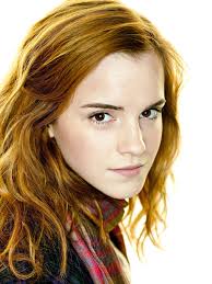 However, it did make us even more excited to see harry take down the dark lord. Hermione Granger Harry Potter Wiki Fandom