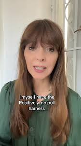 Dumb things people do to dogs. Part eight. Punish dogs for pulling