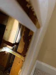 1st choice pest services has over 16 years of experience with removing pests in households and commercial properties in winnipeg. 1st Choice Pest Services Home Facebook