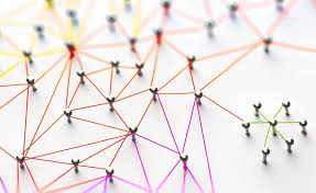 The Importance of Strong Working Relationships in Teams - Exigence