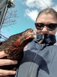 Y'all will understand 😆 First egg! From my black sex link girl I believe.  She started to squat to me 2 days ago and today she laid her first egg! I  mistakenly