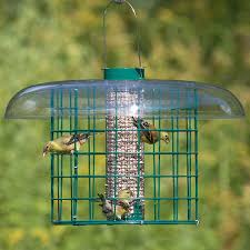 Bird Feeder For Large Birds Duncraft Com Duncraft Sunflower Selective Haven Squirrel Proof Bird Feeders Wild Bird Feeders Small Birds