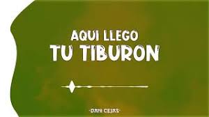 Слушайте песни, в том числе «veneno (aqui llego tu tiburon)». Aqui Llego Tu Tiburon Dani Cejas X Locura Mix Youtube