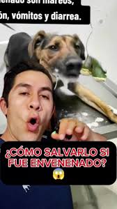 Ta Ta Ta Tu Tu Tu Taru Ra