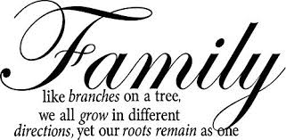 23w x 10.5h what's included:1 family like branches on a tree quotethis is for the quote only and is a perfect complementary piece to our family tree wall decal which can be purchased separately. Quote It Family Like Branches On A Tree We All Grow In Different Directions Yet Our Roots Remain As One Quote Saying Wall Sticker Decal Transfer 12 X24 Buy Online In China At