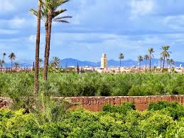 1923 wurde er dort von dem französischen maler jacques majorelle angelegt. Marrakesch Oase Der Garten Vonreisenundgaerten
