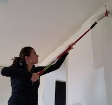 Our New Product Is To Stop Paint Rollers From Hitting Ceilings It Doesn T Hinder Change How You Would Normally Paint Or Roll A Wal Paint Roller Ceiling Roller