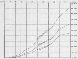 The Rate Of Growth In The Horse 1 Part 4