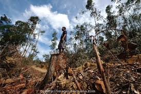 Contextual translation of pembalakan haram into english. Bernama Tv On Twitter Jabatan Perhutanan Negeri Kedah Berjaya Menumpaskan Kegiatan Pembalakan Haram Dan Merampas 15 Tual Kayu Balak Bernilai Kira Kira Rm3 000 Di Hutan Simpan Ulu Muda Tanjung Pari Di Baling