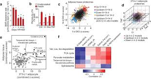 Maybe you would like to learn more about one of these? Mitochondrial Coq Deficiency Is A Common Driver Of Mitochondrial Oxidants And Insulin Resistance Elife