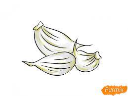 Zub není jen bílá dutá perlička. Kak Narisovat Chesnok Poetapno 5 Urokov