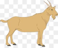 Select from 35970 printable coloring pages of cartoons, animals, nature, bible and many more. Fainting Goat Png Fainting Goat Coloring Pages Fainting Goat Cartoon Fainting Goat Black Fainting Goat Wallpaper Fainting Goat Coloring Pages Fainting Goat Designs Fainting Goat Cards Fainting Goat Gifs Fainting Goat Information Fainting Goat