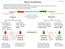 operant conditioning explanatory diagram for positive and