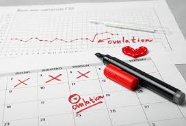 Mittelschmerz occurs in only about 20 percent of women and: Is A Positive Ovulation Test A Good Sign 3 Phases Symptoms Tyes