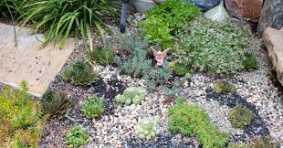Colorful garden outside in front of adobe style house. Outdoor Succulent Garden With Cold Hardy Succulents Succulents And Sunshine