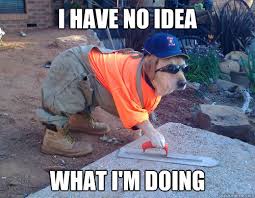 I Have No Idea What I M Doing Construction Dog Quickmeme