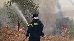 Nov 03, 2020 · φωτιά ξέσπασε σε δασική έκταση στο ασκληπιείο ρόδου με αποτέλεσμα να σημάνει συναγερμός στην πυροσβεστική. Fwtia Sthn Psin8o Ths Rodoy