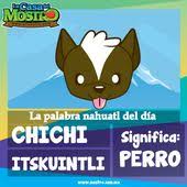 Perro En Nahuatl Palabras En Nahuatl Lenguas Indigenas De Mexico Palabras