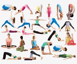 67 all new yoga poses for posture