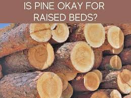We did not find results for: Pine For Raised Beds Greenhouse Today
