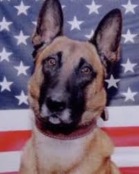 National Police Dog Foundation