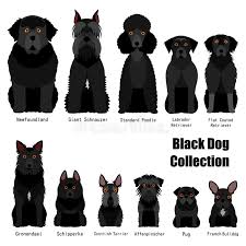 Collection Of Black Dog Stock Vector Illustration Of