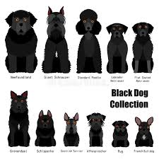 collection of black dog stock vector illustration of