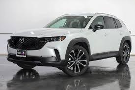 Image result for Wind Chill 2025 TX