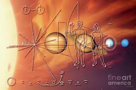 Image result for pioneer plaque