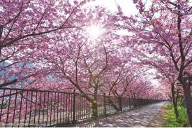 子 發育 懷孕 大神 微信 qq 推特 教室 辦公室 泳池 更衣室 健身 俱樂部 出租屋 家裏 公園 廚房 夜店 陽台 ktv 飛機 氣質 直播 房東 淫蕩 菊花 流出 騷 少婦 樓 噴 女廁 廁. å°åŒ—é™½æ˜Žå±± é™½æ˜Žå±±åœ‹å®¶å…¬åœ' Travelliker æ„›éŠäºº