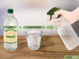 Lets face it, ants in your house can be a big nuisance. 3 Ways To Kill Sugar Ants Wikihow Life