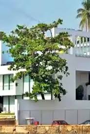 Tata sons former chairman ratan tata ...