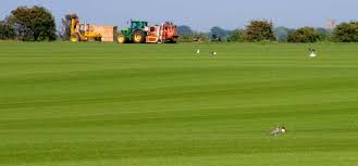 Logo ONG "Solutions Rurales"