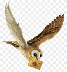 Hogwarts was founded over a thousand years ago by four powerful wizards: Harry Potter Illustration Harry Potter Und Die Kammer Der Geheimnisse Harry Potter Und Der Steinerne Harry Potter Des Philosophen Quidditch Weltcup Harry Potter Karikatur Comic Erfundener Charakter Png Pngwing