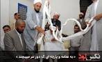 نتیجه تصویری برای به عمامه یا پارچه ای که دور سر می پیچند در بازی خواستگاری