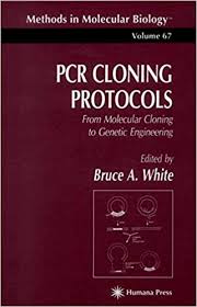 Genetic modification is carried out by gene transfer between species. Pcr Cloning Protocols From Molecular Cloning To Genetic Engineering Methods In Molecular Biology White Bruce A 9780896034839 Amazon Com Books