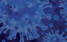 17 niedziela, 17 stycznia 2021. Serwis Urzedu Miasta Olsztyna Nowe Obostrzenia Covid Owe