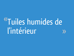 Tuiles Humides De L Interieur