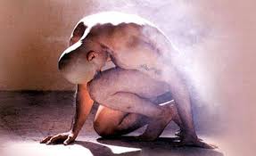 Image result for Aalavandhan