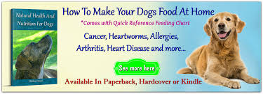 Do Not Give This To Your Fearful Pets Holistic And Organix