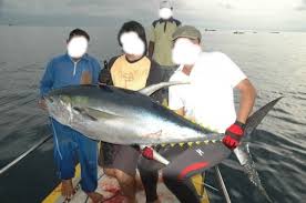 Jika mereka pendengar yang baik. 4 Jenis Umpan Ikan Tuna Sirip Biru Dan Kuning Mancingikan Net 2021 Mancingikan Net 2021
