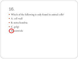 Animal cells are different from plant cells because they don't have cell walls and chloroplasts, which are relevant to plant cells. Press F5 Use The Arrows To Move From Slide To Slide Answer All The Questions First On Notebook Paper Number 1 30 An Answer Key Will Be Found At The End Ppt Download