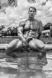 Our Picks - AdonisMale