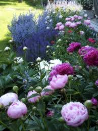 Heaven S Walk Grainsacks And Florals Peonies Garden Garden Inspiration Plants