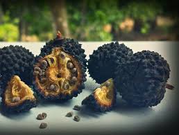 Image result for Guazuma