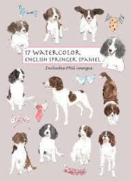 Black And White Springer Spaniel Clipart Clip Art Watercolor English Springer Spaniel Collar Set 17 Images Digital Download Puppy Doggy Collar Black White Brown Springer Spaniel English Springer Spaniel English Springer