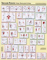 Trigger Points Chart 2 Legge